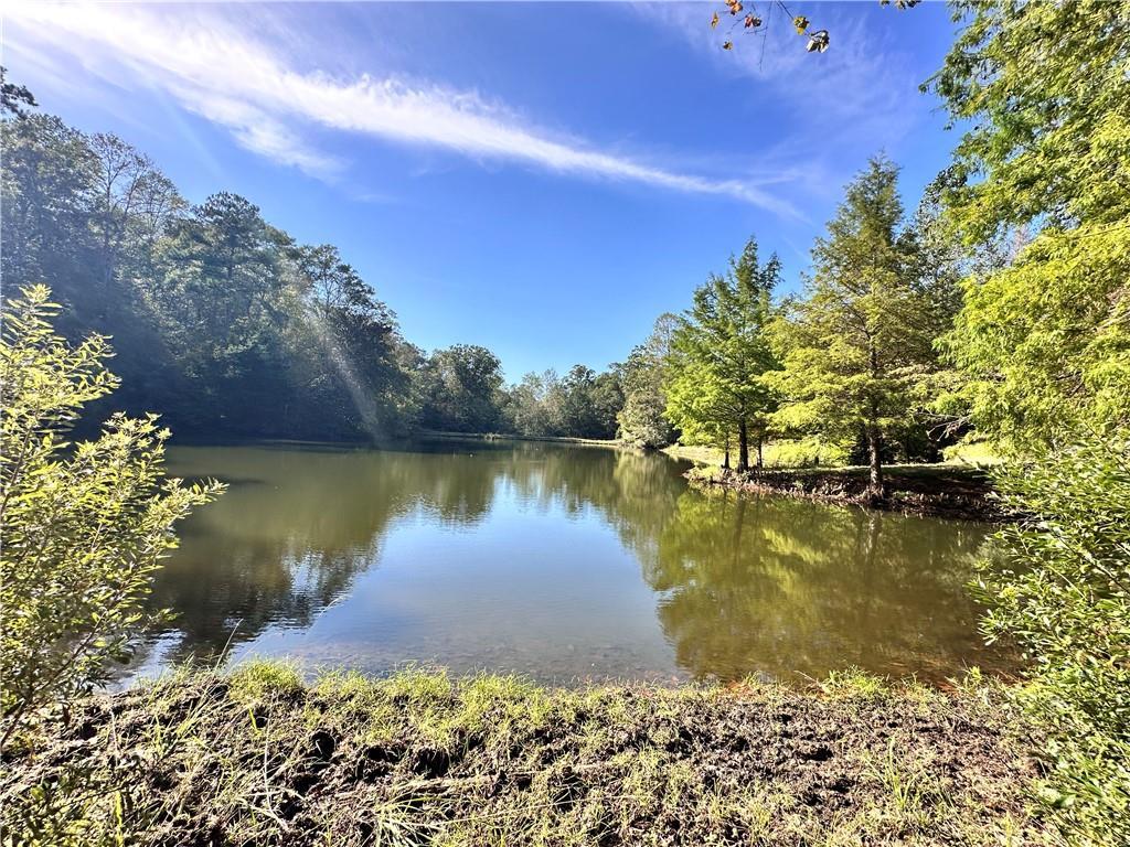 Image of Property at 11471 Al Highway 105, Skipperville, AL 36374