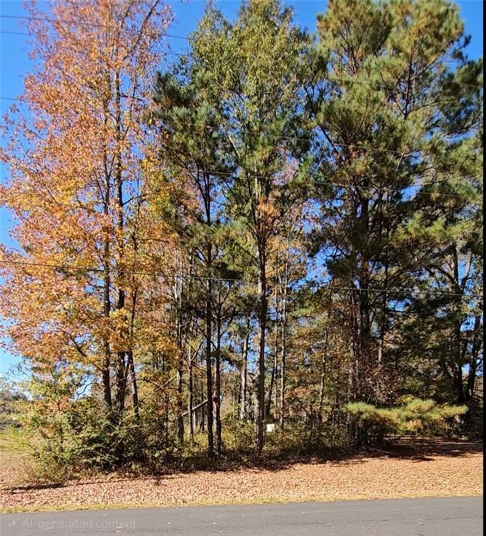 Image of Property at Lot 6 Lincoln Heights Street, Alexander City, AL 35010