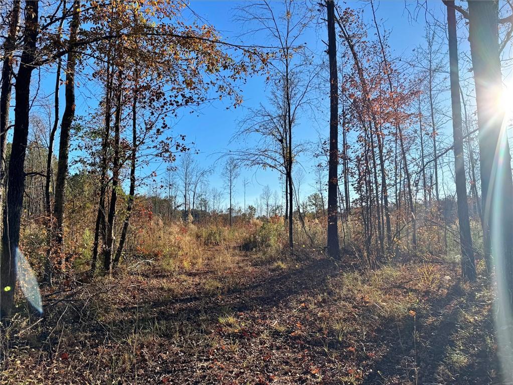Image of Property at 0 County Road 222, Lanett, AL 36863