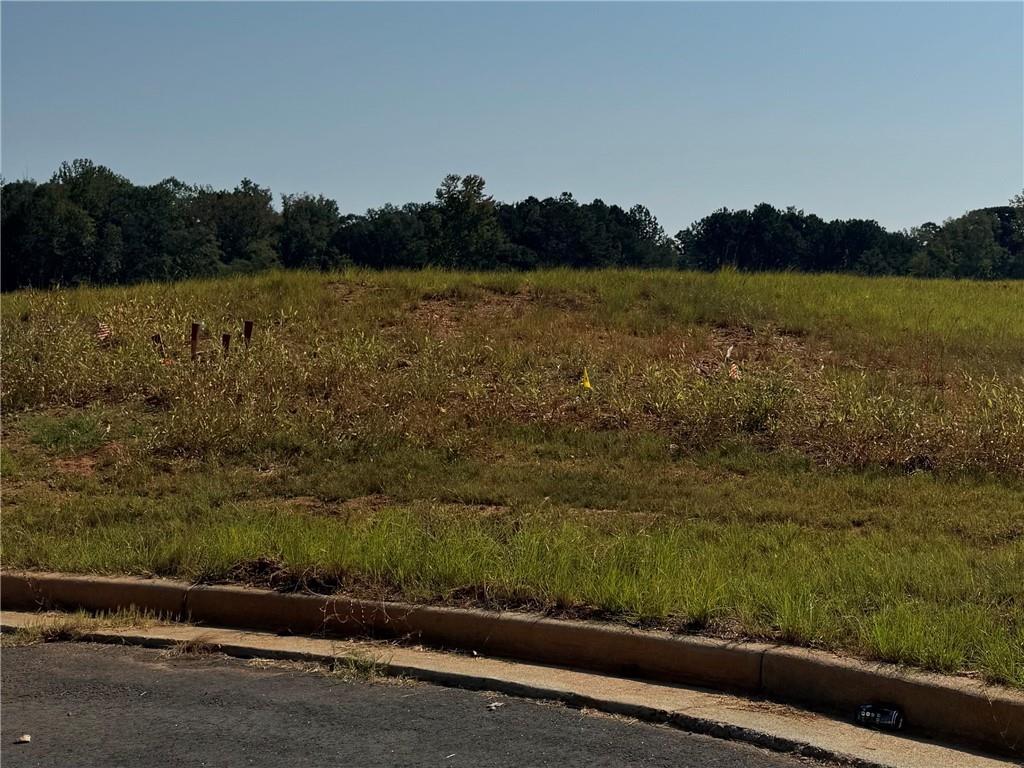 Image of Property at Lot 14 Long Leaf Lane, Opelika, AL 36804