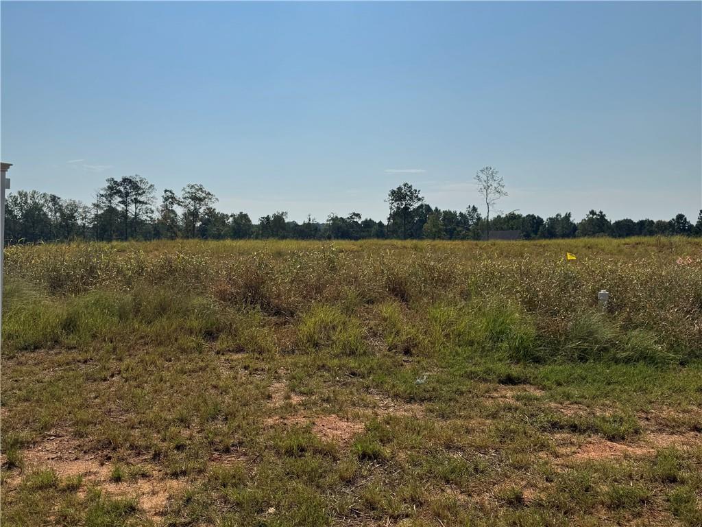 Image of Property at Lot 16 Long Leaf Lane, Opelika, AL 36804