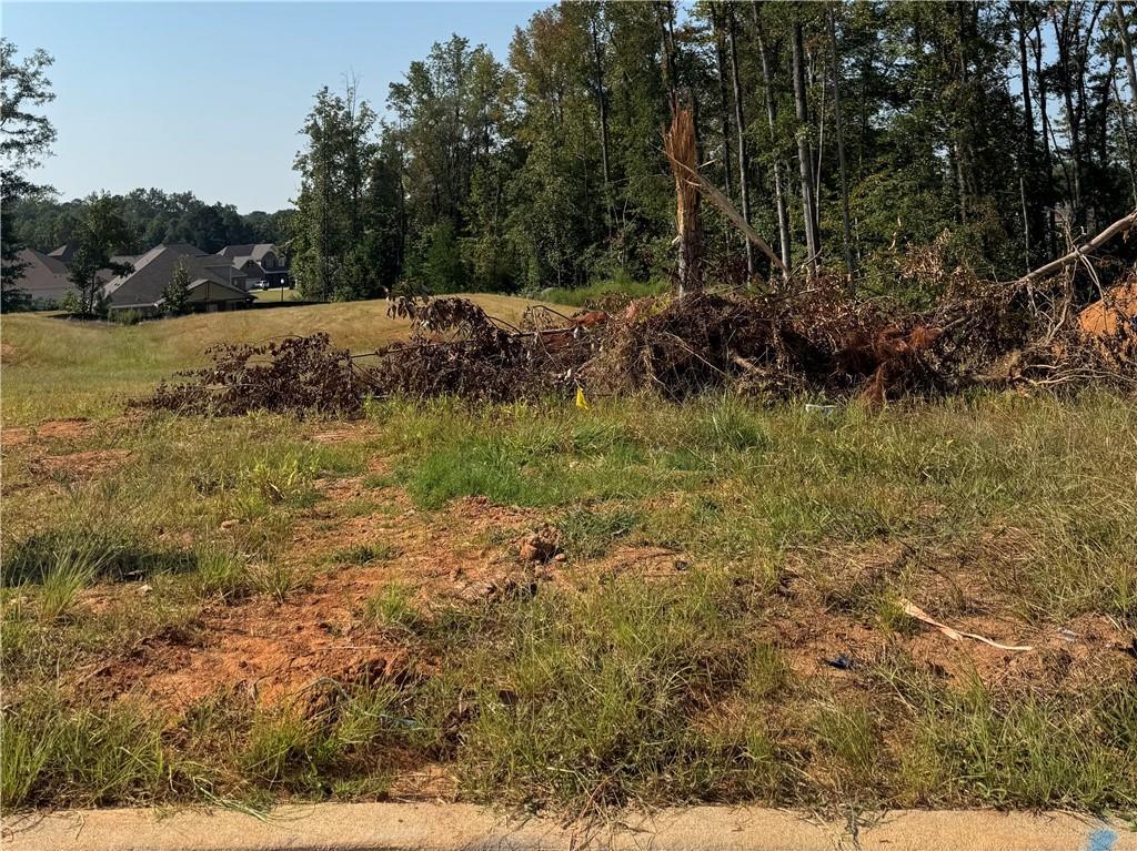 Image of Property at Lot 12 Long Leaf Lane, Opelika, AL 36804