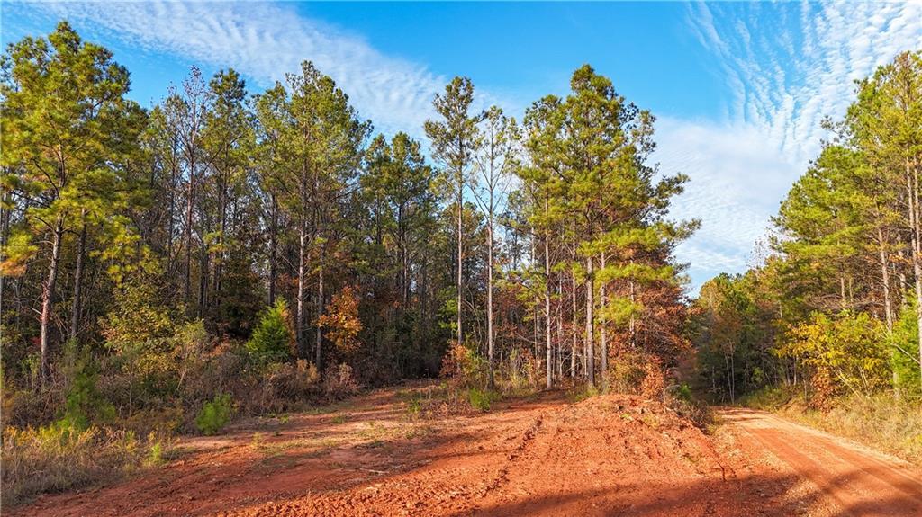 Image of Property at 0 County Road 95, Lafayette, AL 36862