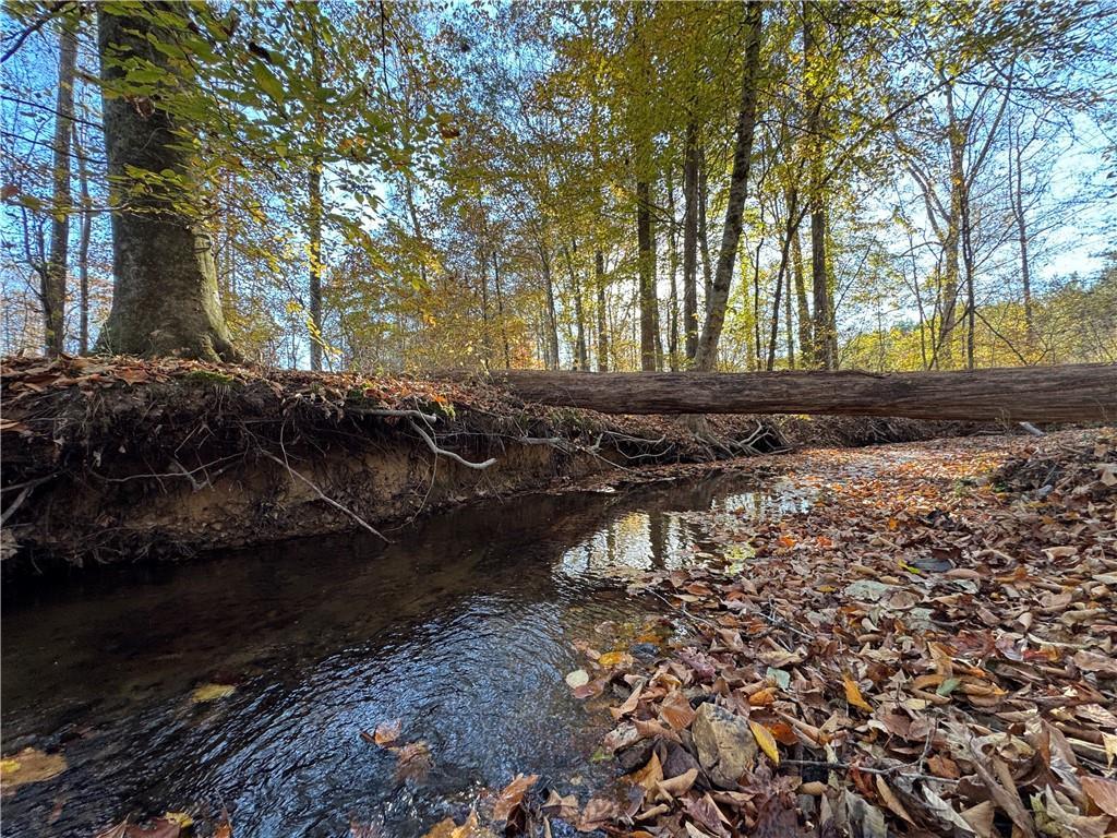 Image of Property at 0 Germany's Ferry, Daviston, AL 36256