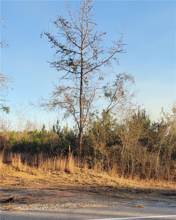 Image of Property at S 00 Us Highway 29, Tuskegee, AL 36083