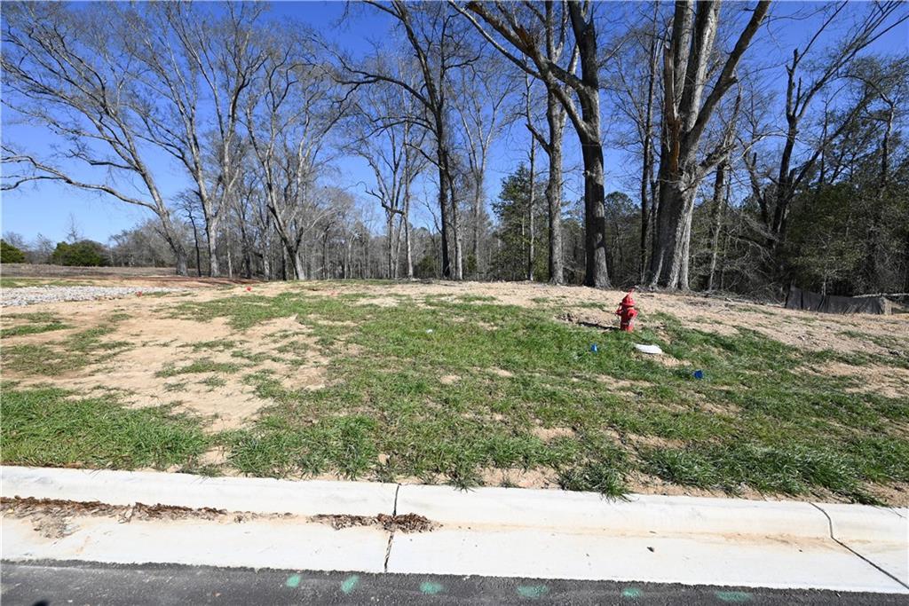 3557 Ridgeline Trail Auburn, AL 36830