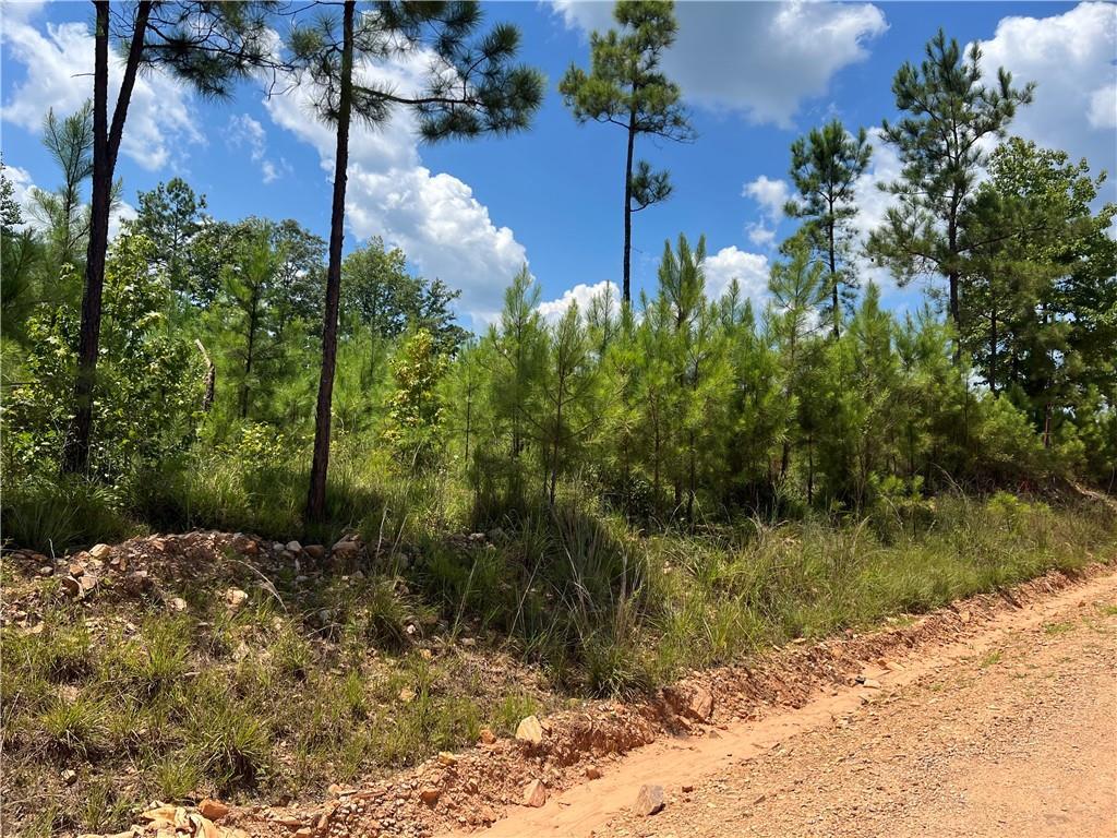 Image of Property at 5041 Lee Road 279, Salem, AL 36874