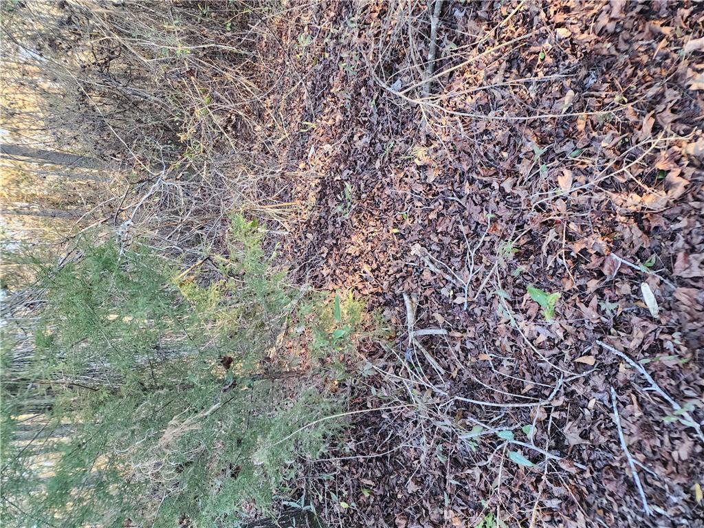 Image of Property at 1598 Lee Road 39, Opelika, AL 36804