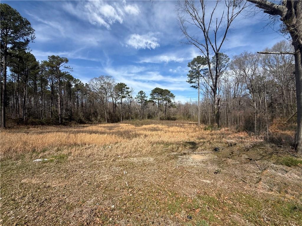 Image of Property at 8028 Tallapoosa Street, Notasulga, AL 36866
