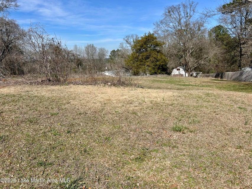 Image of Property at 198 Mckelvey Street, Dadeville, AL 36853