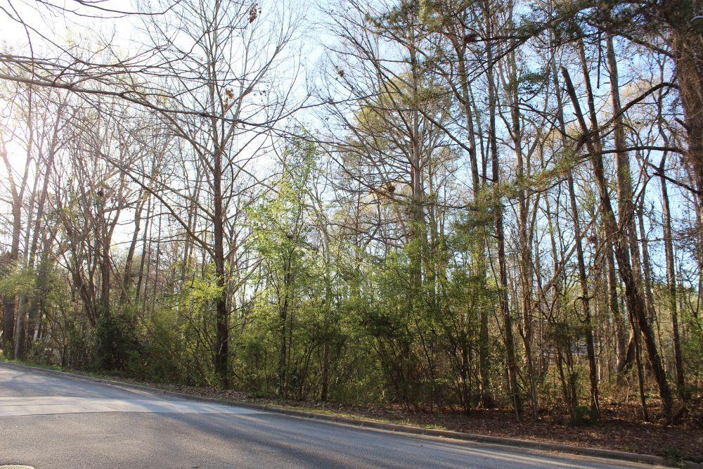 Image of Property at 0 Summertrees Drive, Auburn, AL 36832