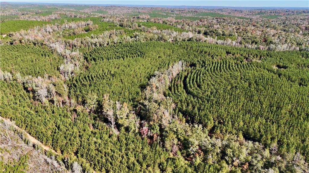 Image of Property at 0 Al Highway 82, Eufaula, AL 36027