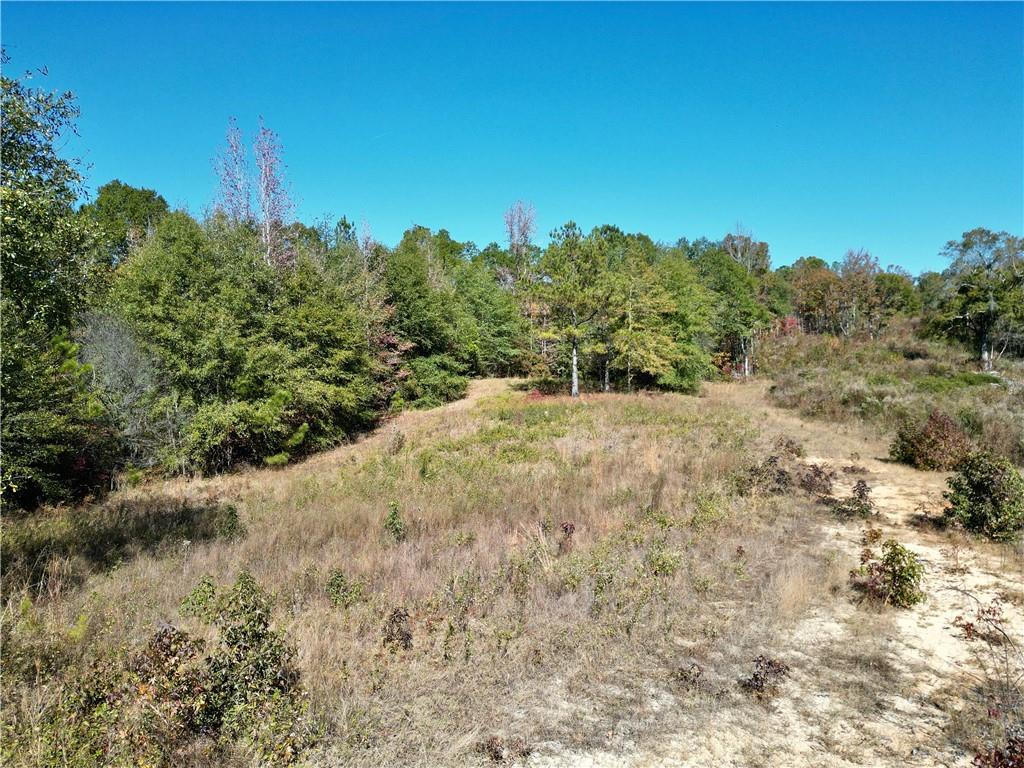 Image of Property at 0 Al Highway 82, Eufaula, AL 36027