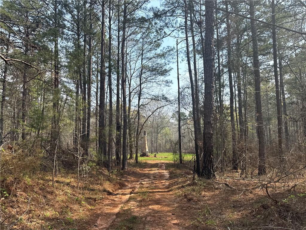 Image of Property at 0 Heard Road, Camp Hill, AL 36850