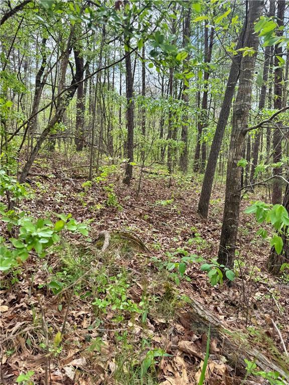 Image of Property at Lot 24 Marshall Drive, Mccalla, AL 35111