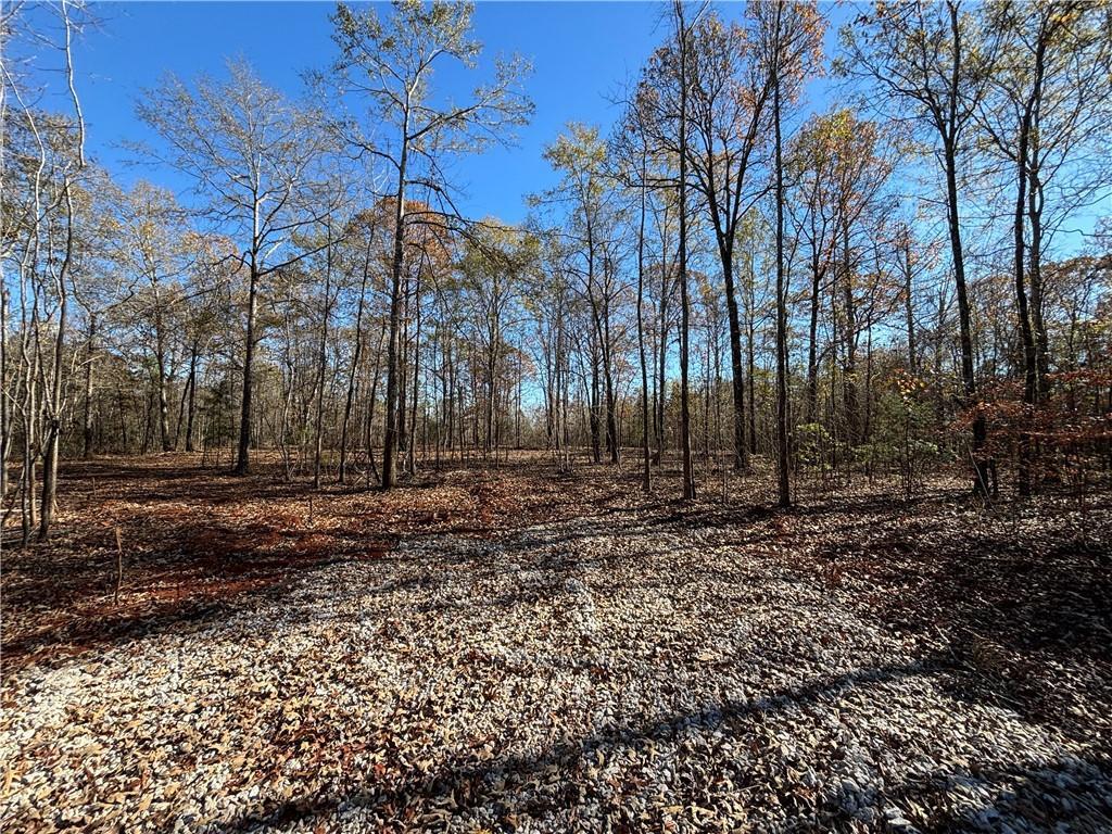 Image of Property at Lot # 3 Lee Road 344, Salem, AL 36874