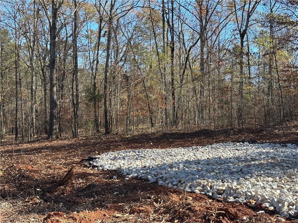 Image of Property at Lot 9 Lee Road 345, Salem, AL 36874