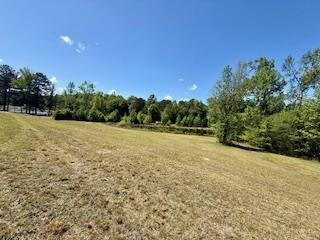 Image of Property at 0 Lee Road 124, Salem, AL 36874