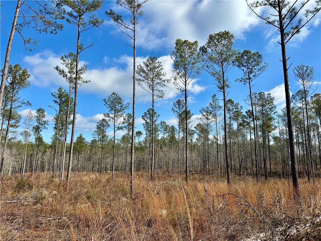 Image of Property at 0 Lee Road 278, Salem, AL 36874