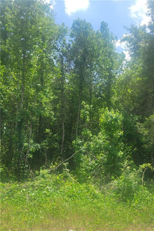 Image of Property at 00 O. B. Brown Road, Auburn, AL 36830