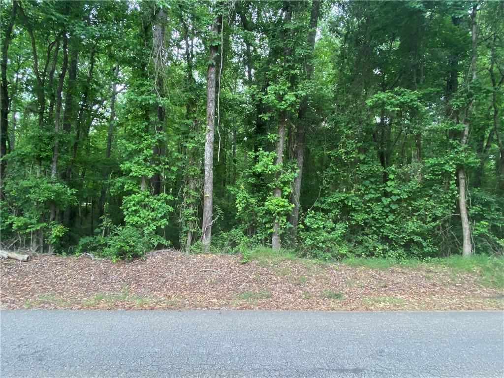 Image of Property at 5973 Lee Road 70, Waverly, AL 36879