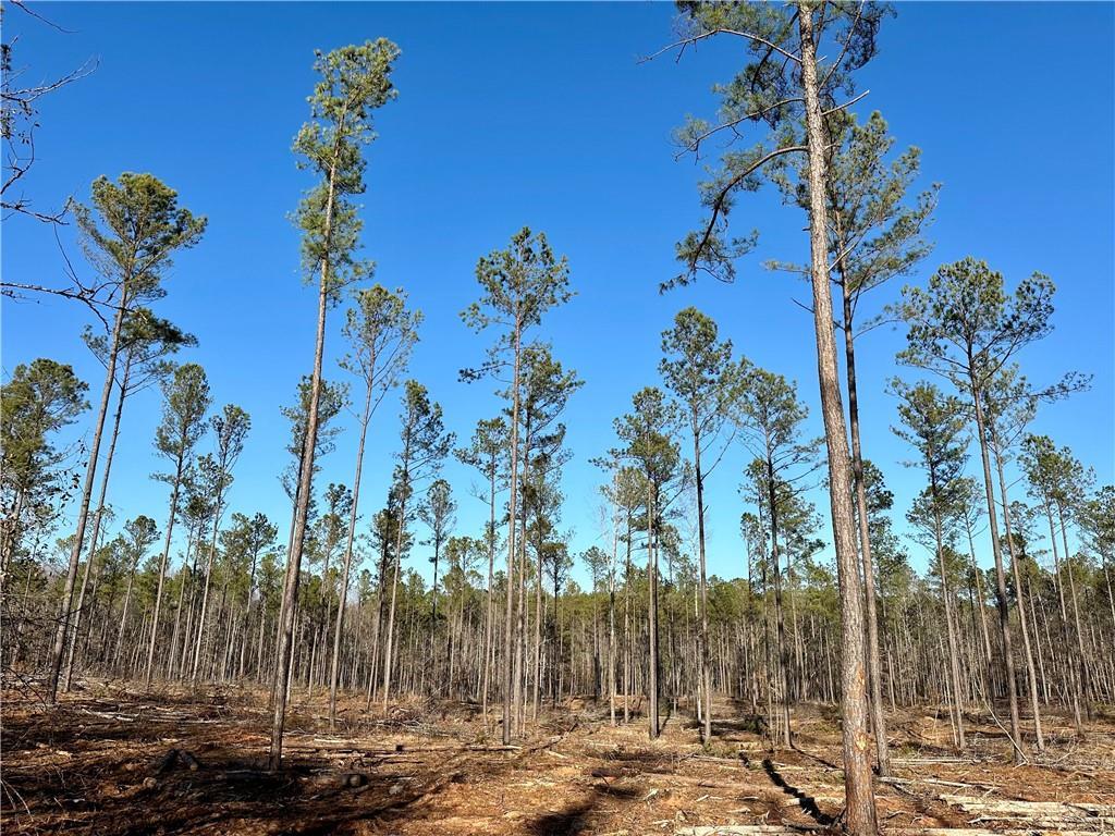 Image of Property at 0 Lee Road 278, Salem, AL 36874