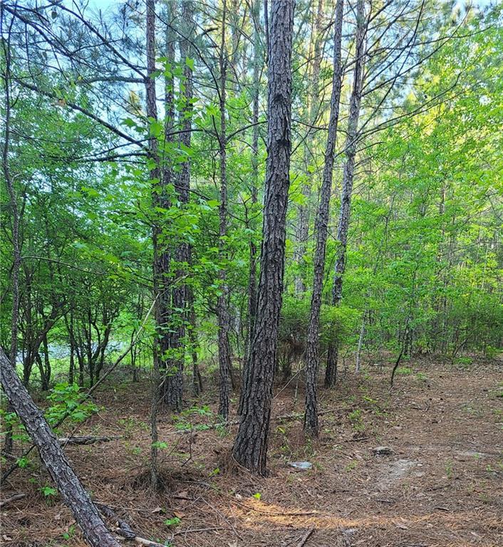Image of Property at 000 O. B. Brown Road, Auburn, AL 36830