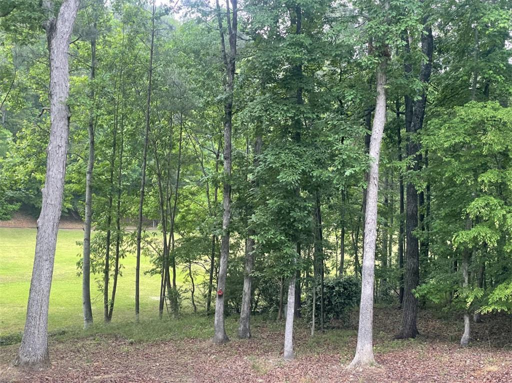 Image of Property at 0 Greenview Lane, Dadeville, AL 36853