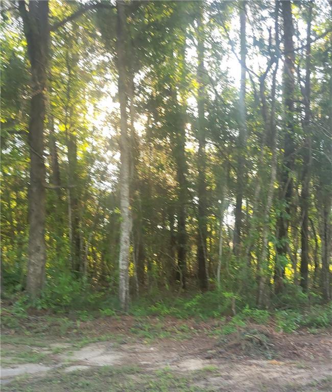 Image of Property at 00 Webb Avenue, Tuskegee, AL 36083