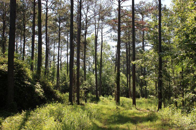 Image of Property at 0 Hayes Mill Connector, Notasulga, AL 36866