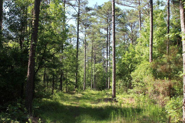 Image of Property at 0 Hayes Mill Connector, Notasulga, AL 36866