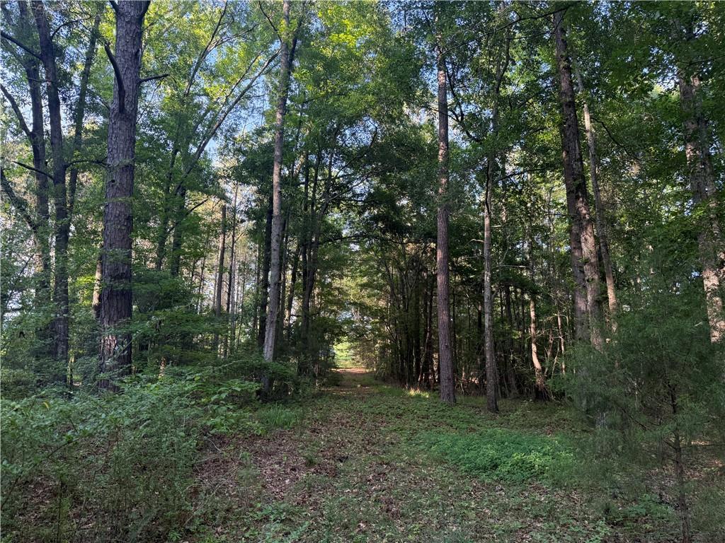 Image of Property at 0 Main Street, Notasulga, AL 36866