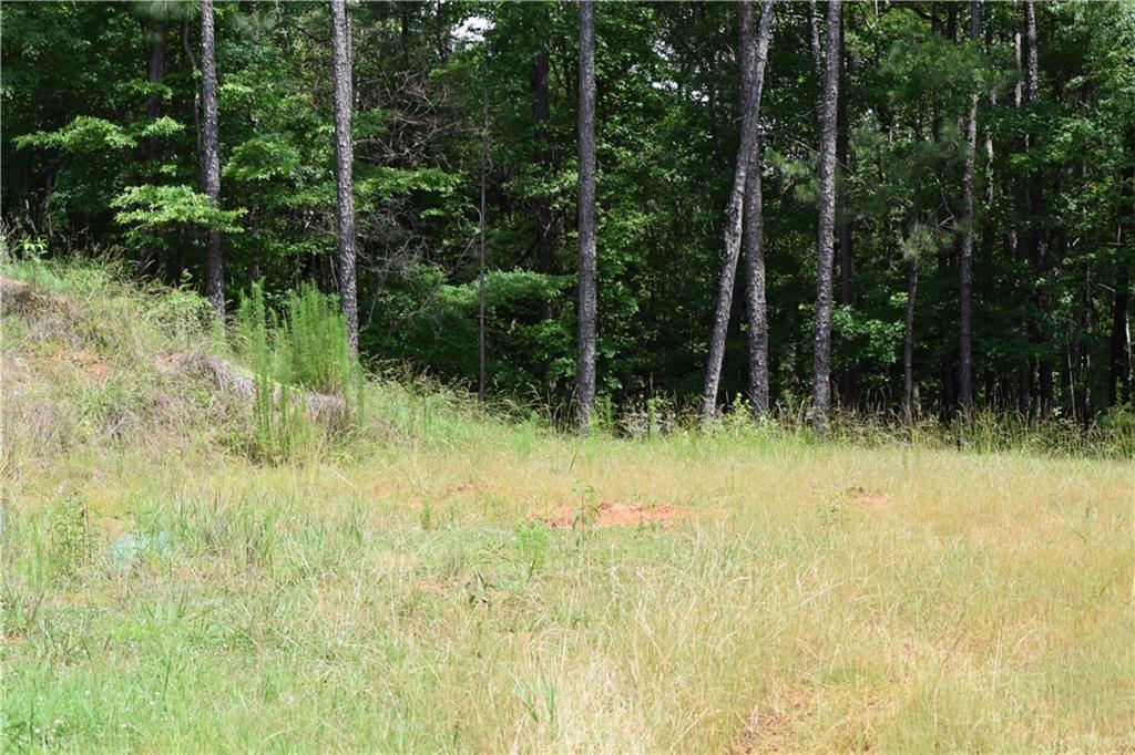 Image of Property at 0 Lee Road 757, Opelika, AL 36804