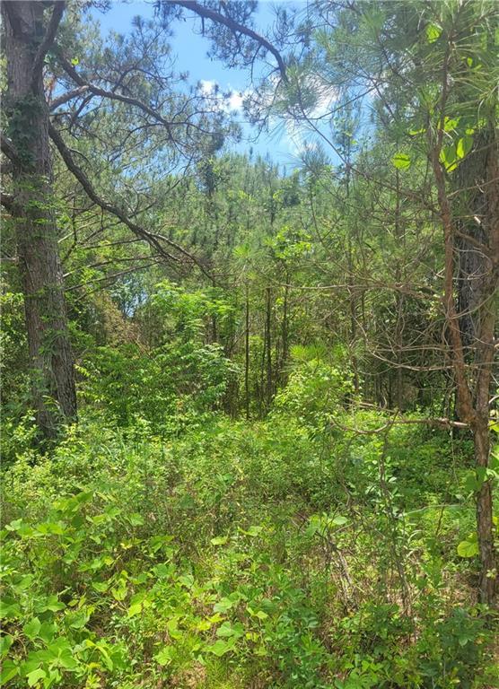 Image of Property at 00 O. B. Brown Road, Auburn, AL 36830