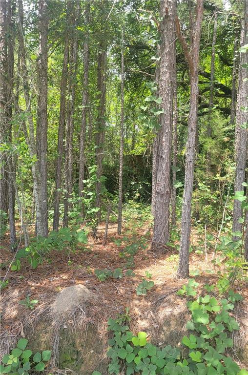 Image of Property at 01 O. B. Brown Road, Auburn, AL 36830