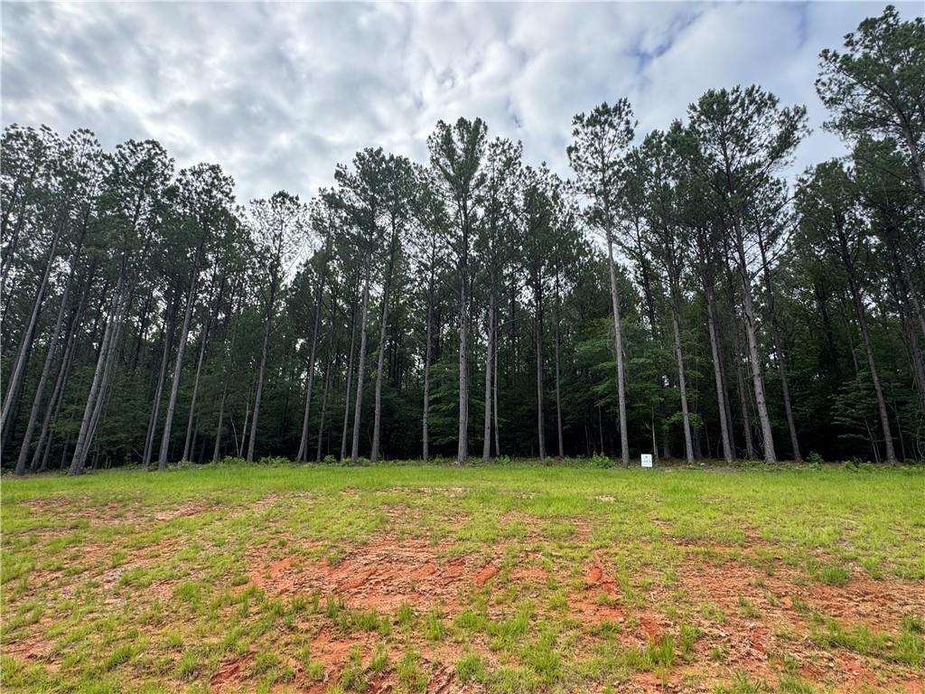 Image of Property at 2220 Winchester Lane, Auburn, AL 36830