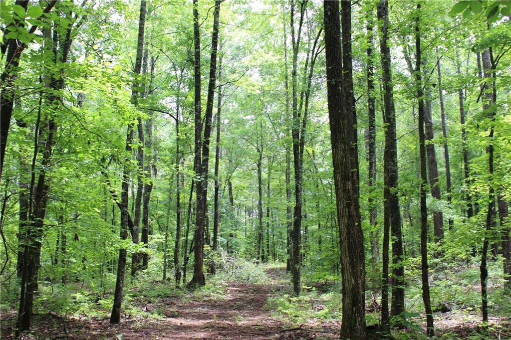 Image of Property at 0 East Mill Road, Goodwater, AL 35072