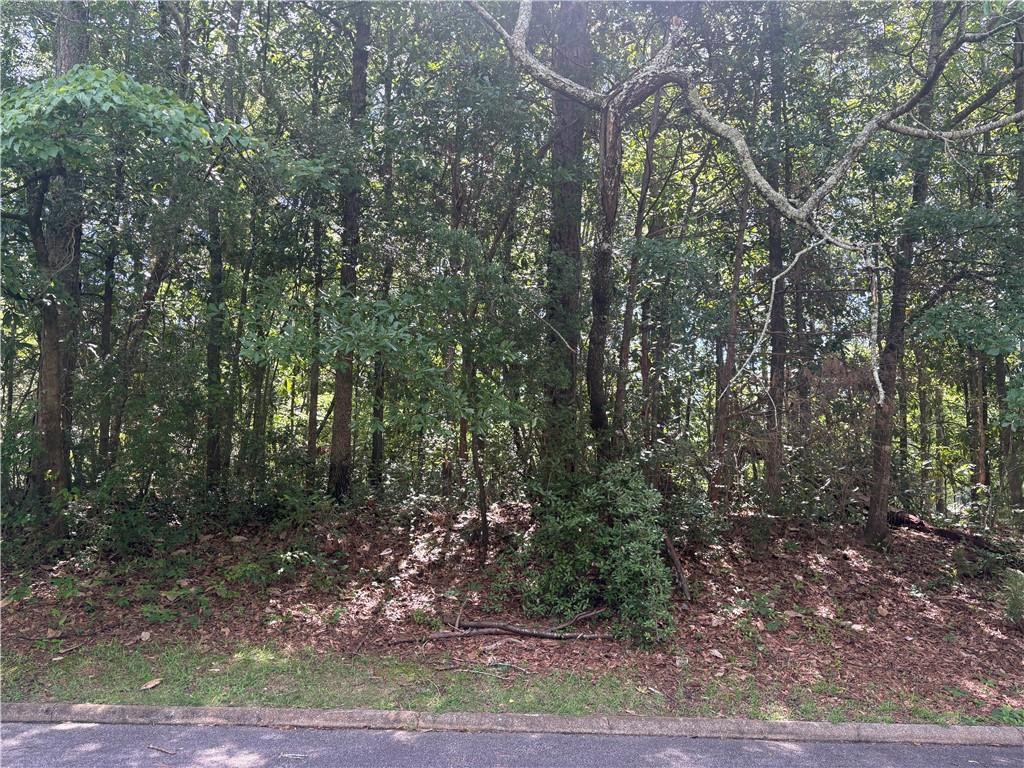Image of Property at 1405 Scott Street, Opelika, AL 36801