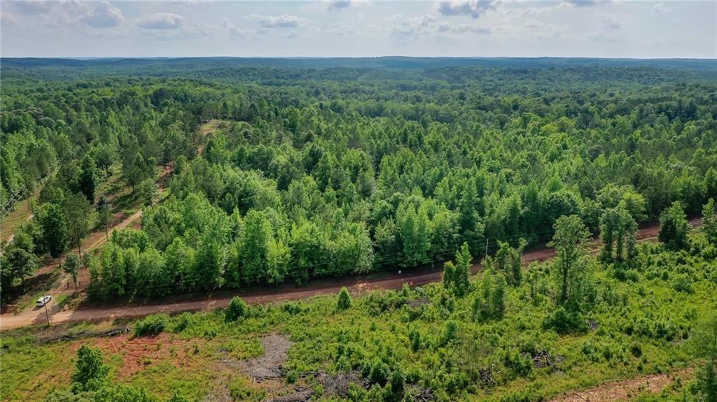 Image of Property at 0 Lee Road 78, Auburn, AL 36879