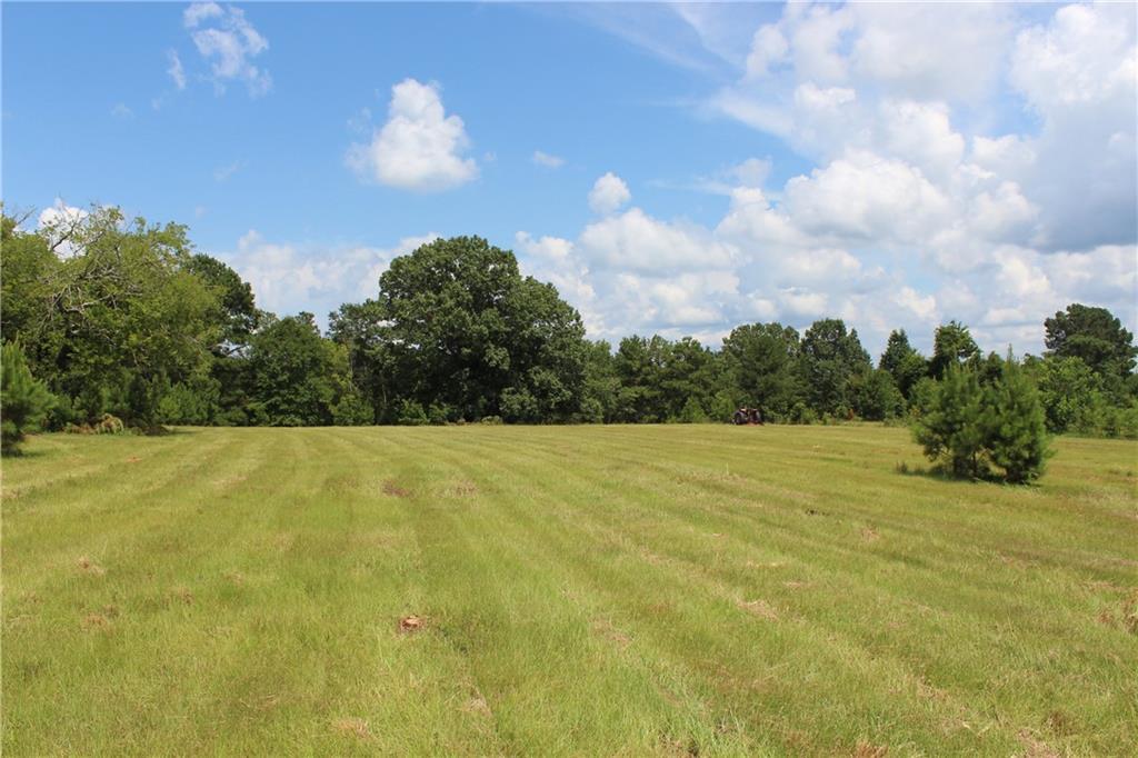 Image of Property at 0 Brooks Road, Phenix City, AL 36870