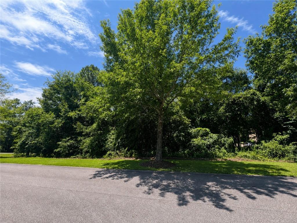Image of Property at Lot 17 Lee Road 2159, Opelika, AL 36804