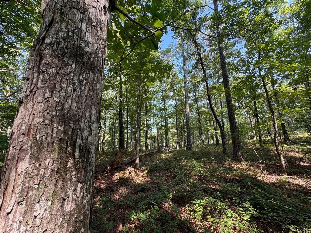 Image of Property at 0 Parker Island Road, Equality, AL 36026