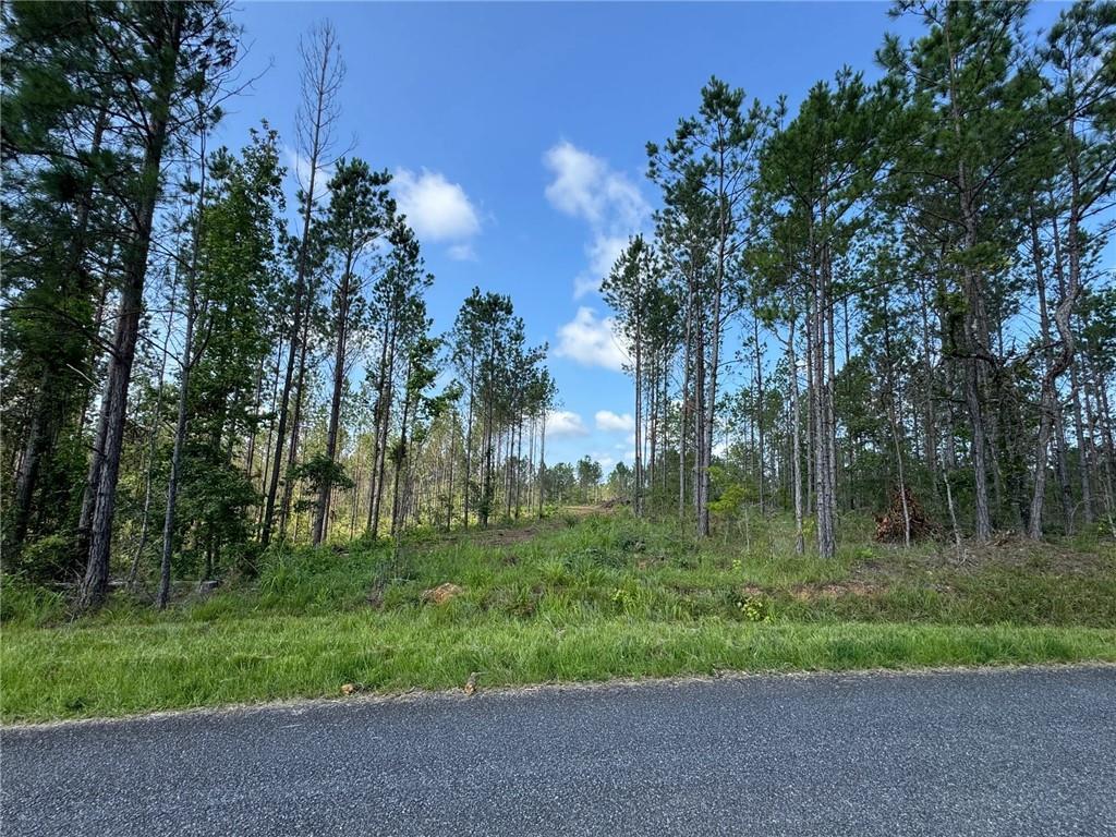 Image of Property at 0 Parker Island Road, Equality, AL 36026