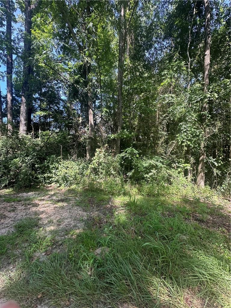 Image of Property at Lot 1 County Road 38, Notasulga, AL 36866