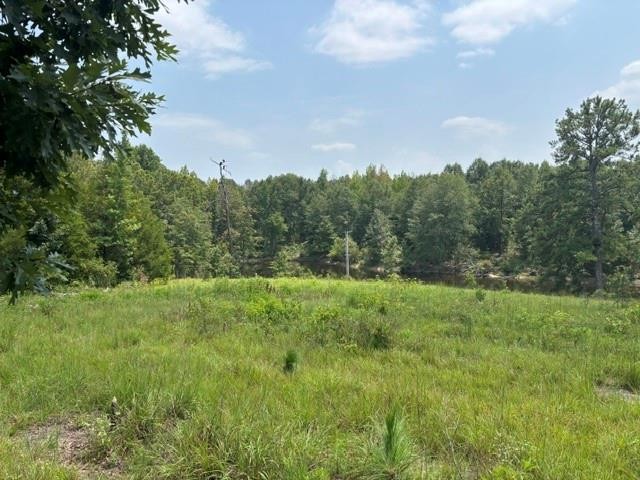 Image of Property at 4 Society Hill Road, Auburn, AL 36830