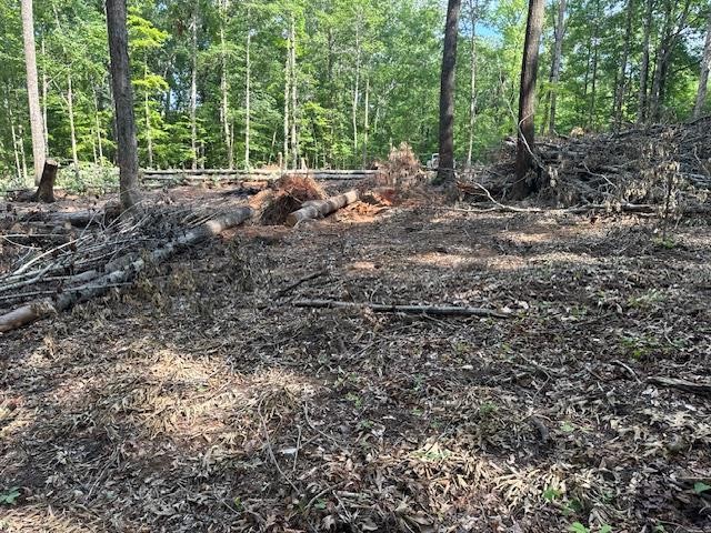 Image of Property at Lot 1 Bobcat Pass Us Highway 29  N, Opelika, AL 36804