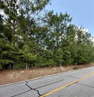 Image of Property at 0 Lee Road 29, Opelika, AL 36804