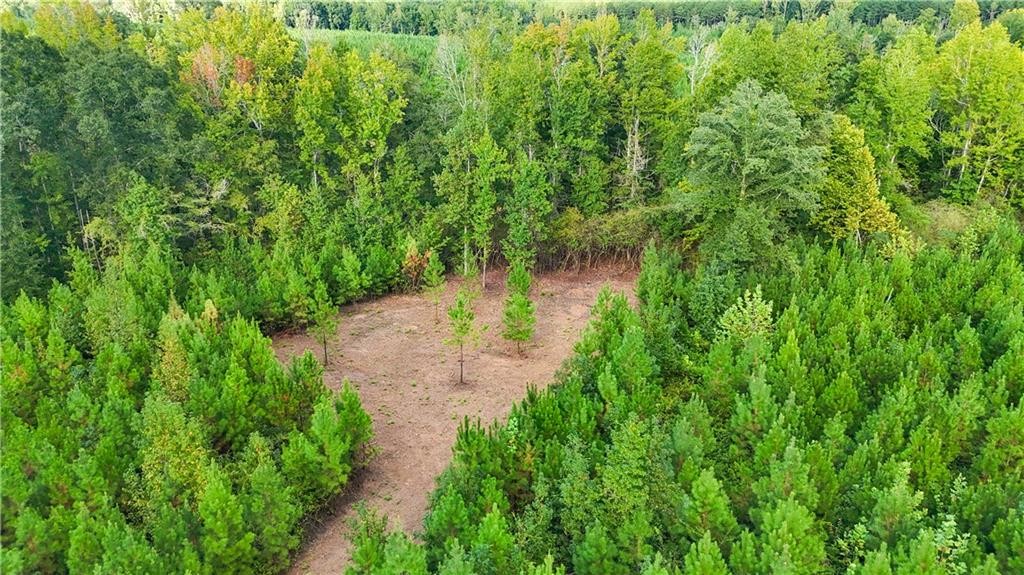 Image of Property at 0 County Road 28, Lafayette, AL 36862